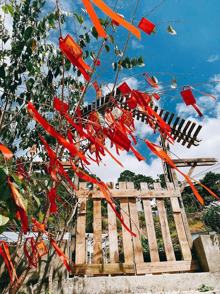 Cây nêu ngày Tết