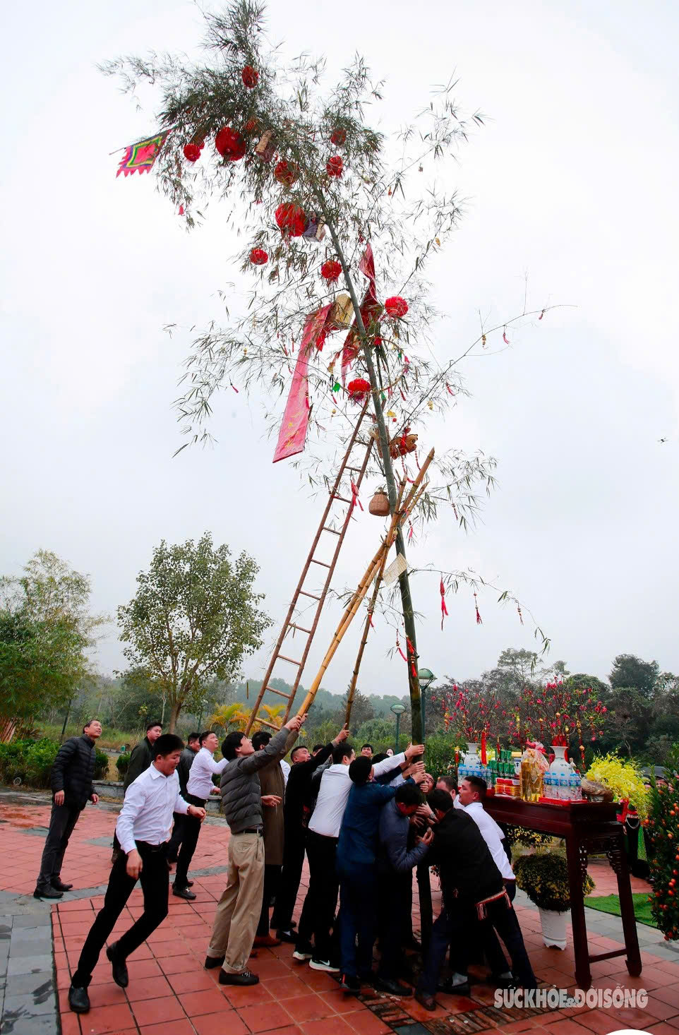 Làm gì vào Tết?